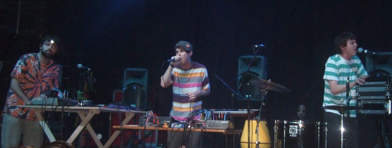 Animal Collective - Wikipedia