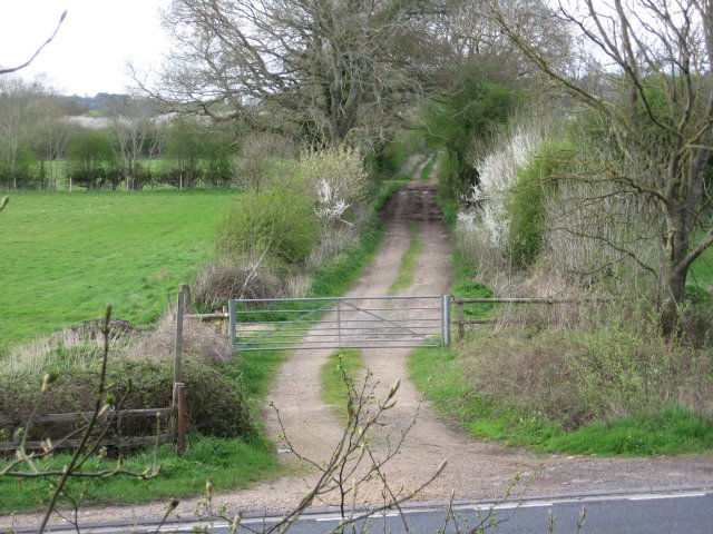 File:Bridleway towards River Stour - geograph.org.uk - 1252212.jpg