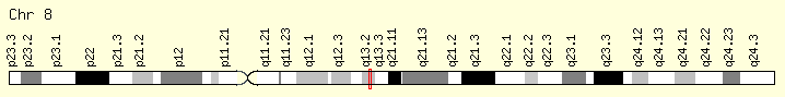 Location of C8orf34 on human chromosome 8. C8orf34 Location.png