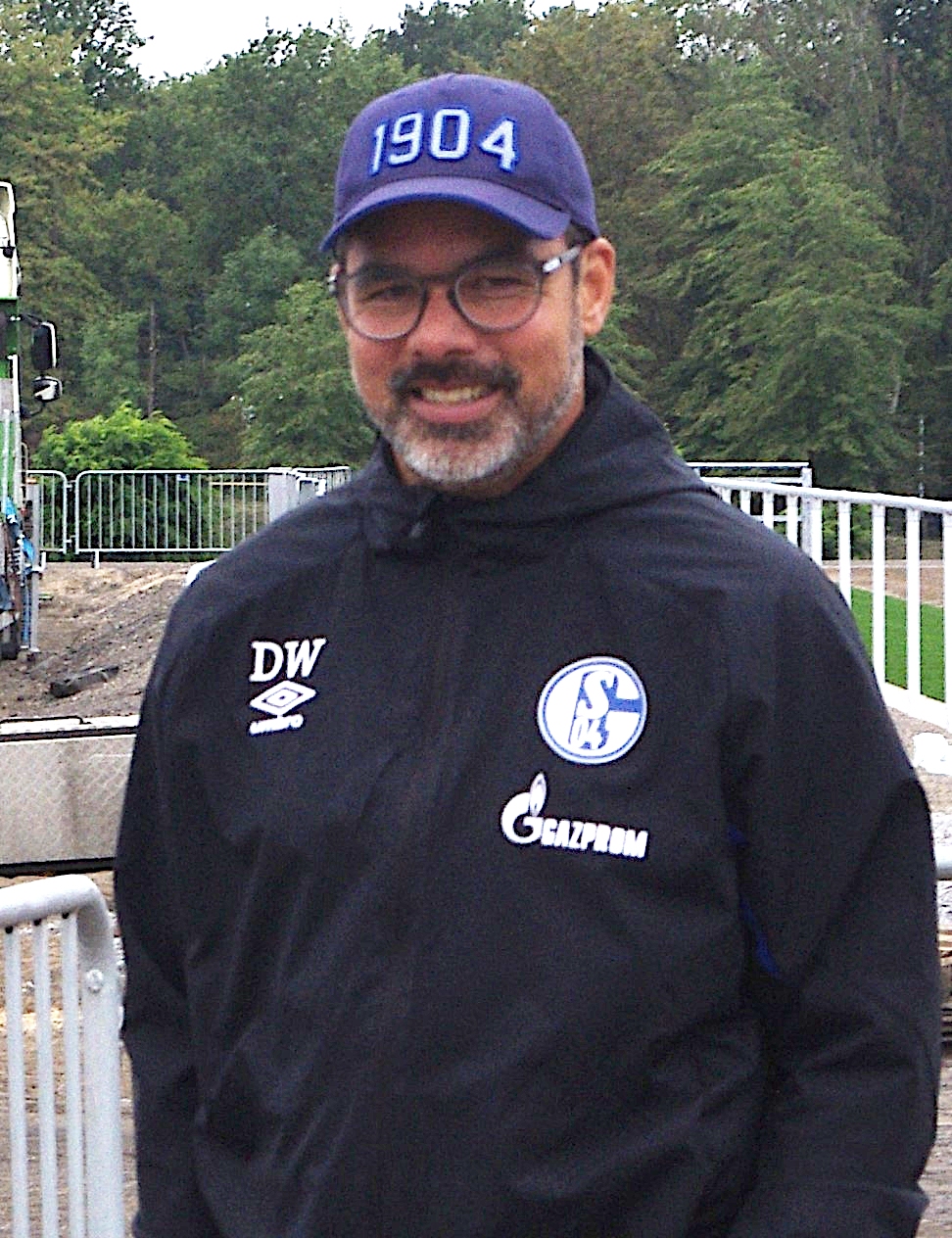 David Wagner (soccer) - Wikipedia