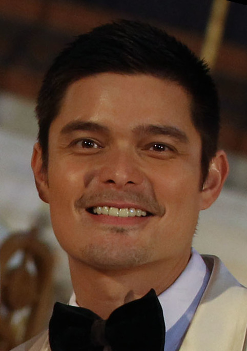 Dingdong Dantes - 2014 (cropped)