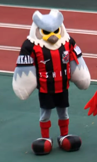 List of J.League mascots - Wikipedia