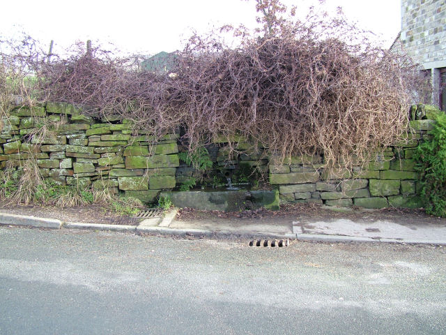 File:Drinking Trough near High Halstead - geograph.org.uk - 110912.jpg