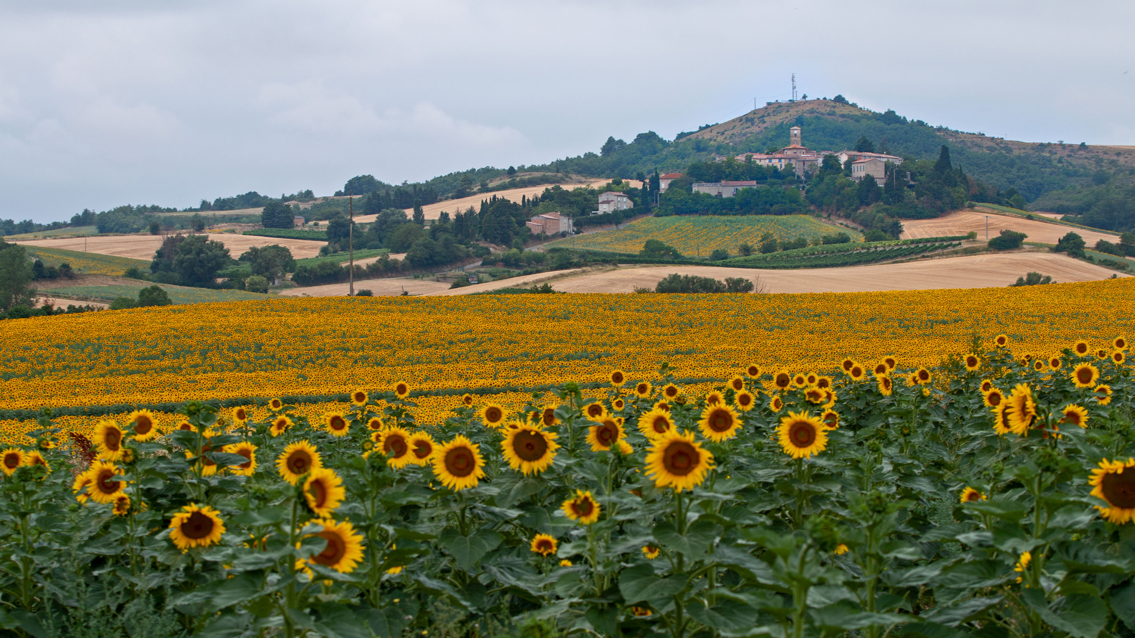 Fenouillet-du-razès