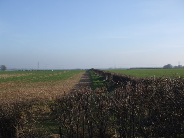 File:Fields off Little Weighton Road - geograph.org.uk - 1227100.jpg