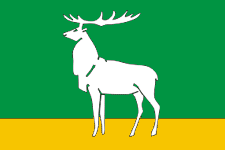 File:Flag of Buzuluk (Orenburg oblast).png