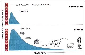 File:Gould-complexity-wall.jpg