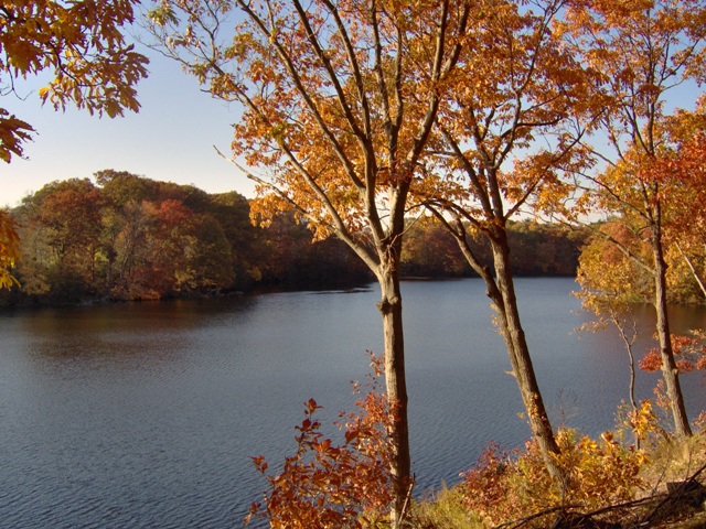 File:HPIM0893 wmp fall.jpg