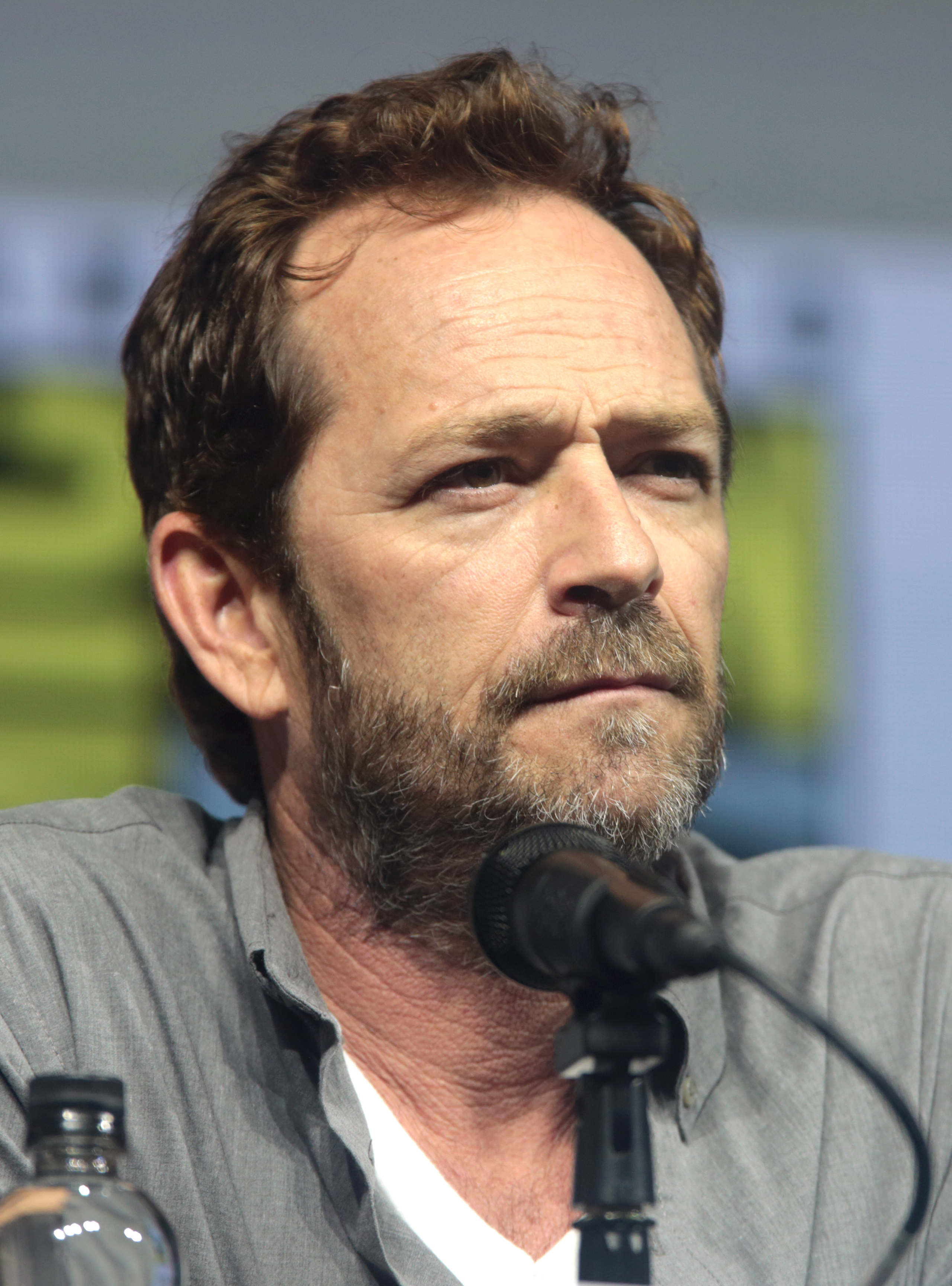 Perry at [[San Diego Comic-Con]] in 2018