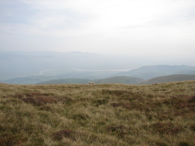 Mynydd Esgairweddan