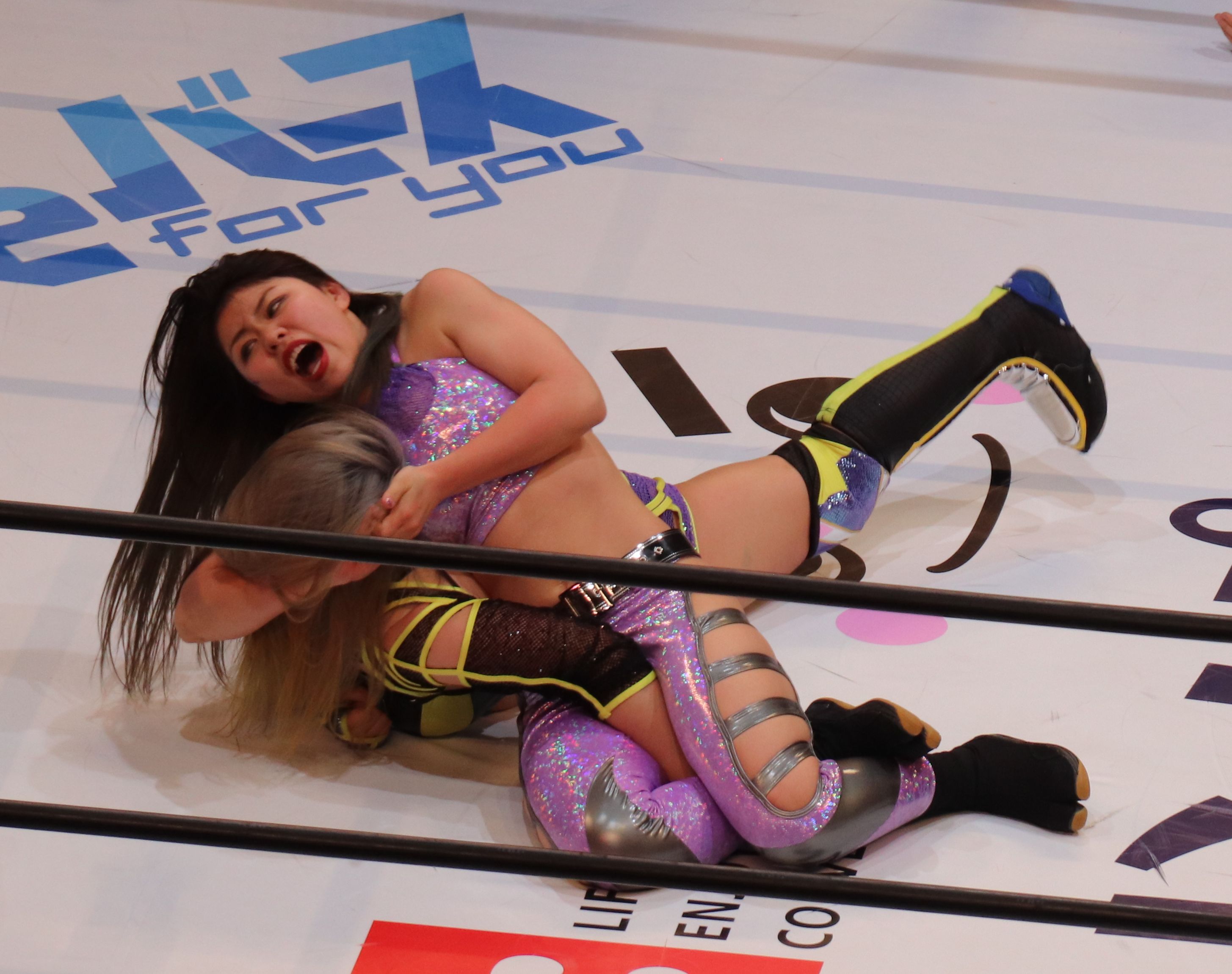 Hazuki Wrestler: Most Up-to-Date Encyclopedia, News & Reviews