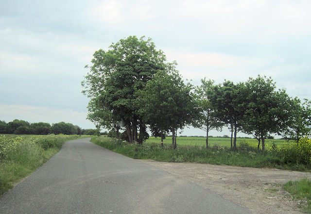 File:Sloothby High Lane at track junction - geograph.org.uk - 3005467.jpg