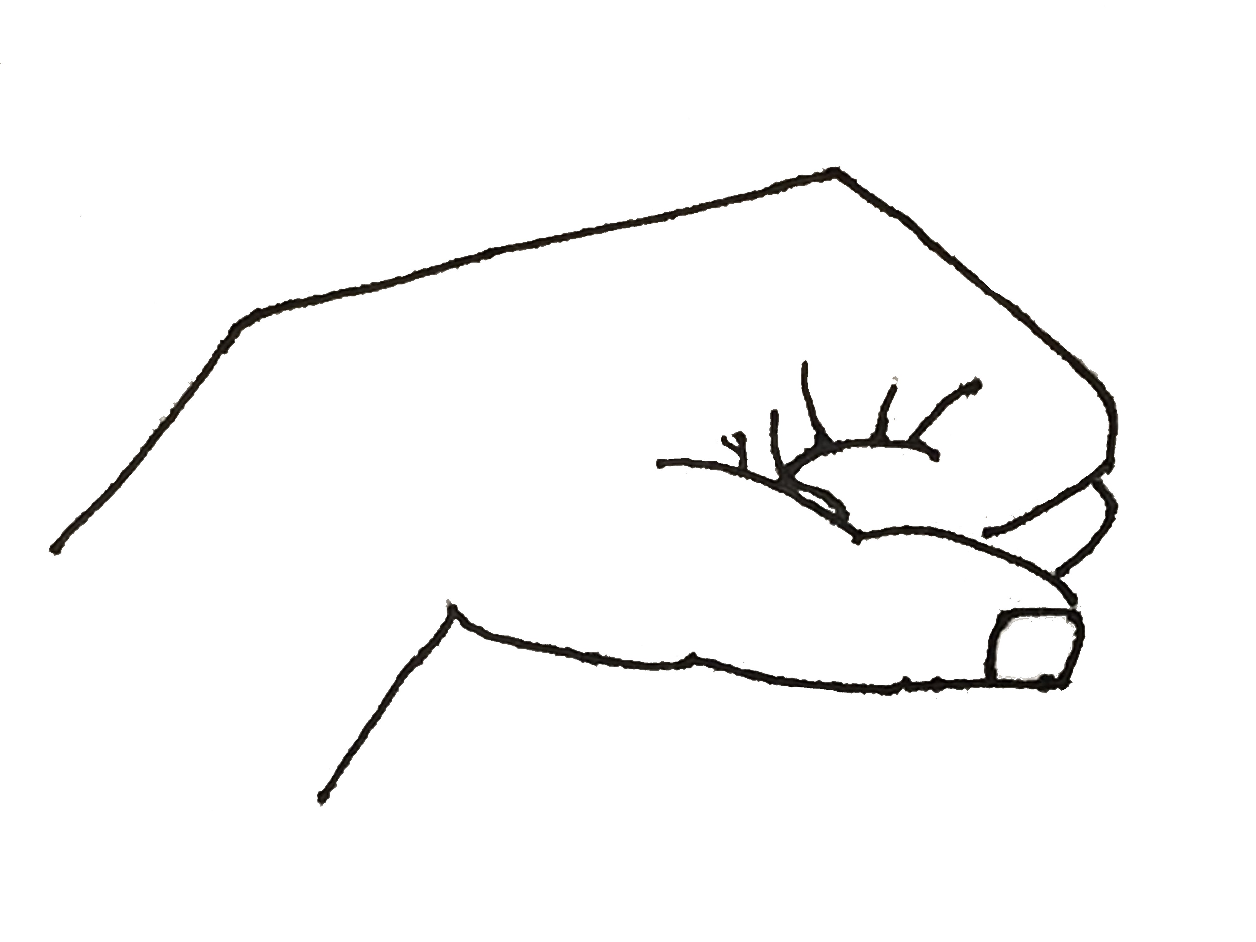 Solfege hand sign do.jpg. w:en:public domain. 