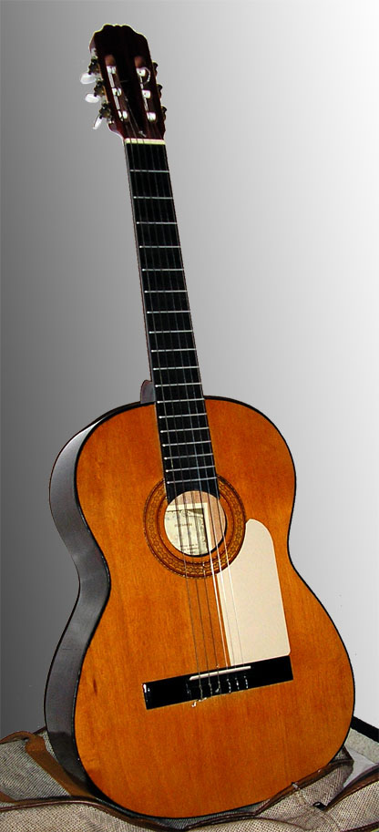 Historia de la guitarra - Wikipedia, la enciclopedia