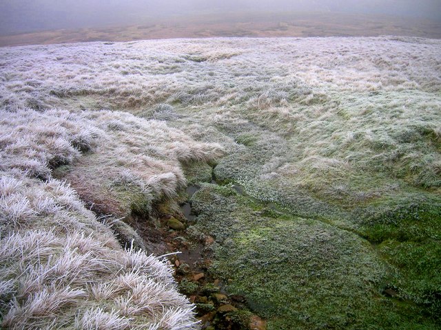 Stream source on Mickle Fell's northern slope - geograph.org.uk - 1138096