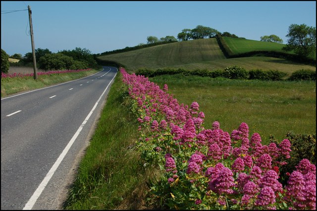File:The Downpatrick - Strangford road - geograph.org.uk - 458787.jpg