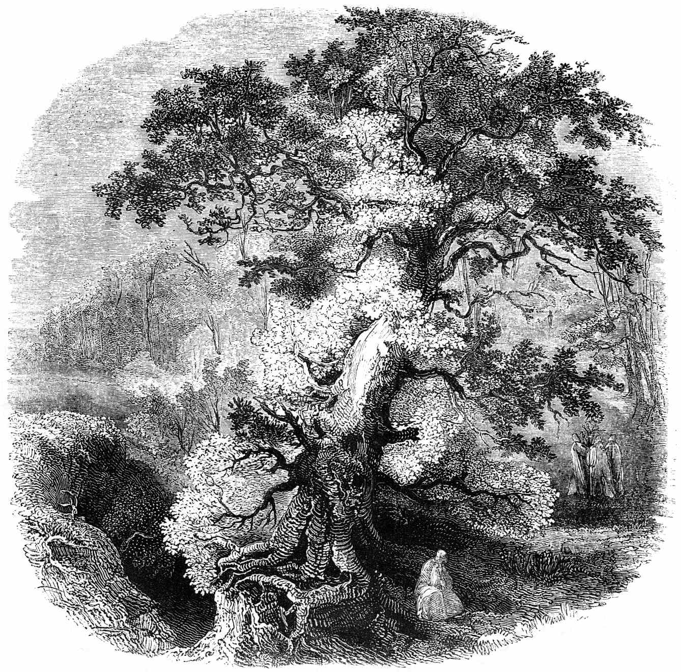 The Cycle of the Oak, Ash, Yew & Rowen