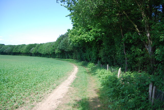 The Edge of Leybourne Wood (Mereworth Woods) - geograph.org.uk - 2504976