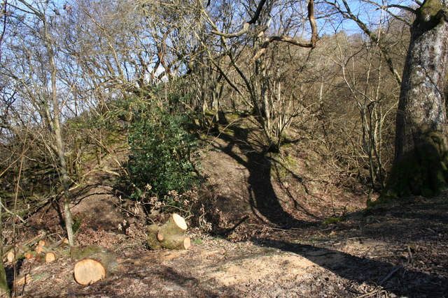 File:Top of the steps - geograph.org.uk - 741992.jpg