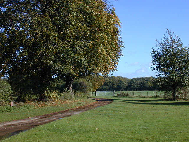 File:Track to Vines Farm - geograph.org.uk - 989391.jpg