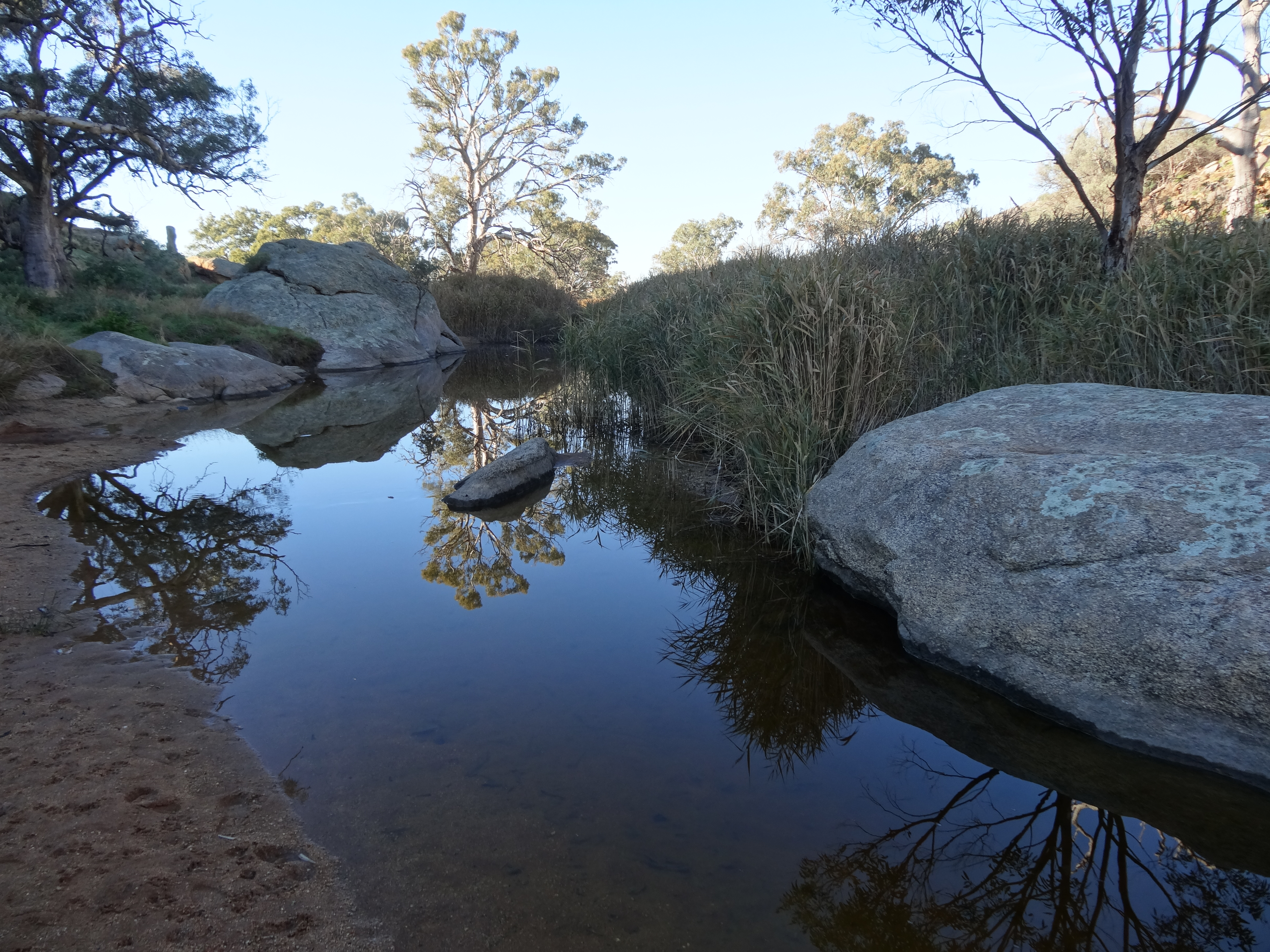 Water pool along Reedy Creek at Mannum waterfalls South Australia. %289158527122%29