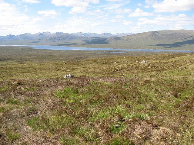 File:West side of A' Chruach - geograph.org.uk - 1355911.jpg