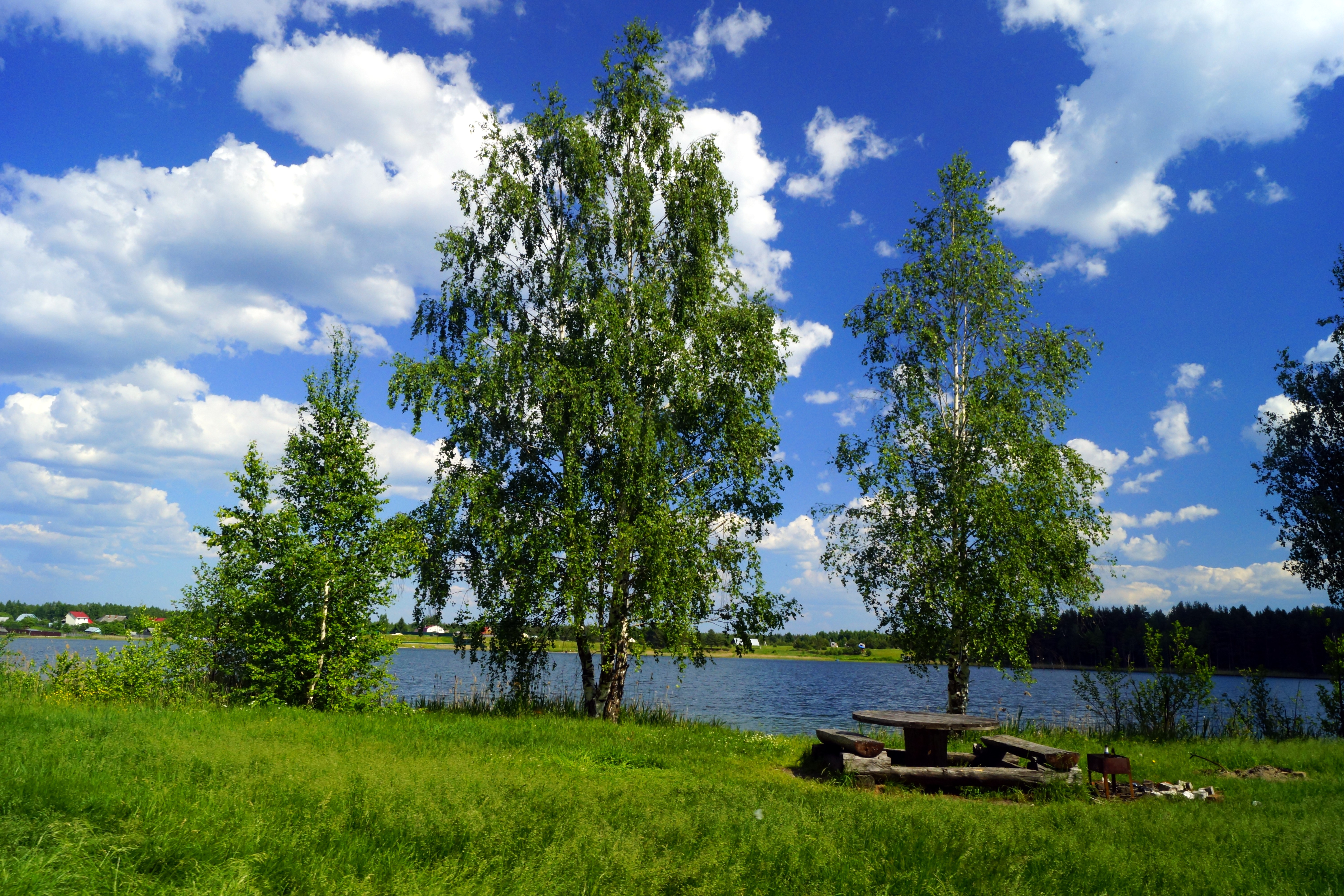 озеро белое рязанская область клепиковский район