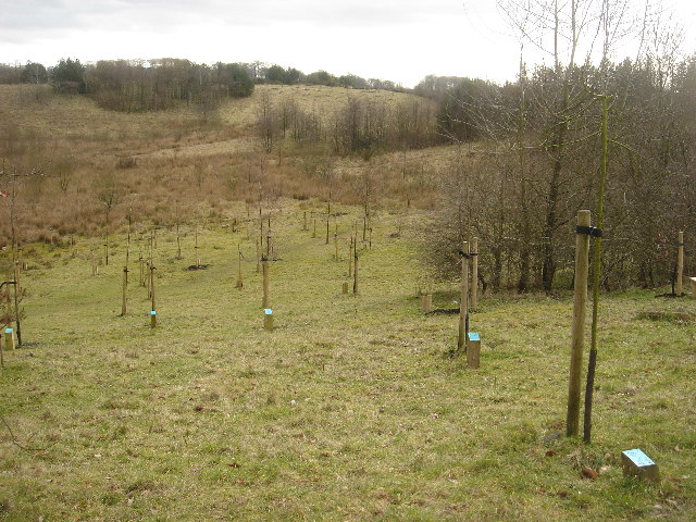 File:'Life for a Life' - geograph.org.uk - 123055.jpg