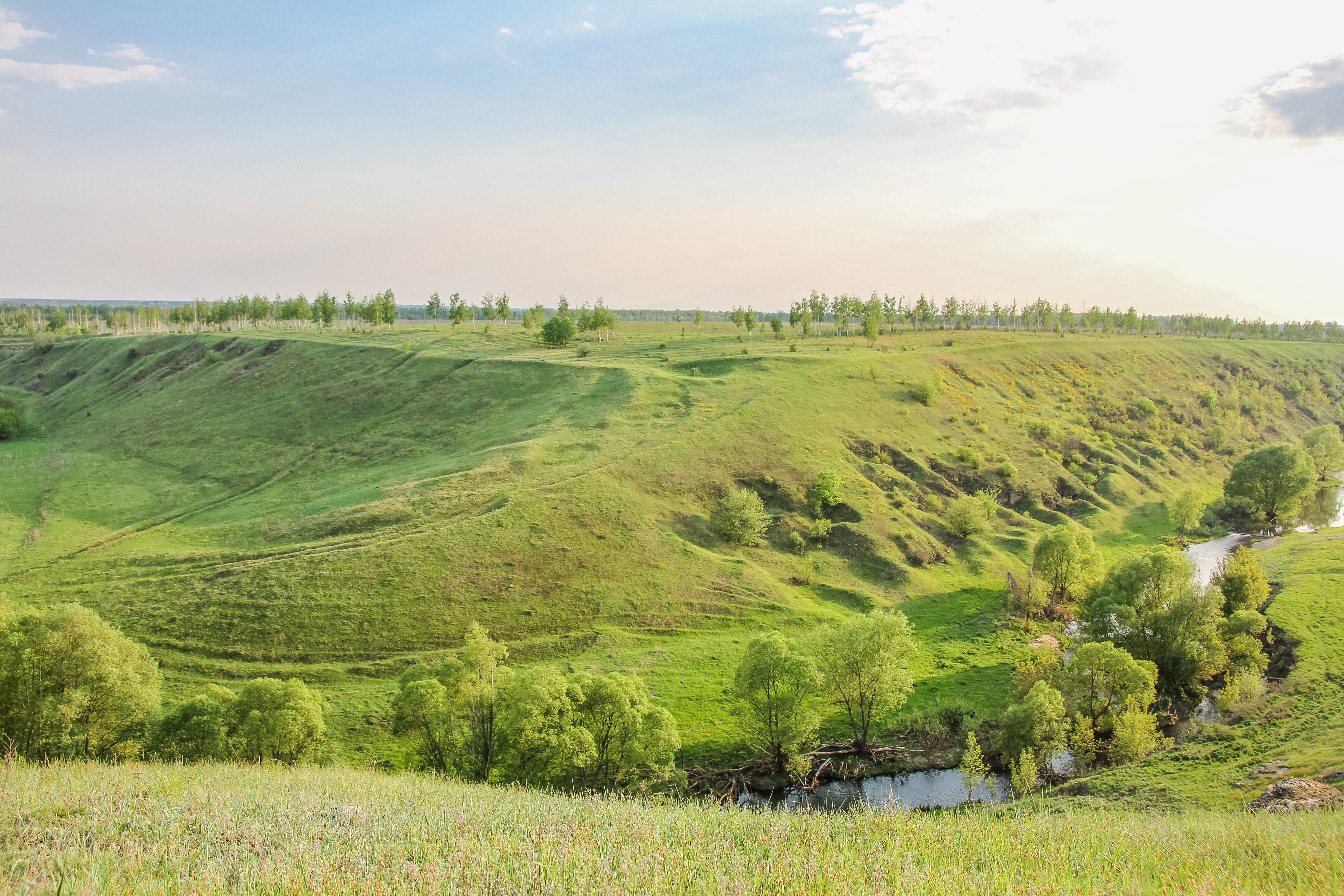 Поселок елецкий липецкая. Аргамач Пальна. Аргамач Липецкая область. Урочище Аргамач-Пальна.