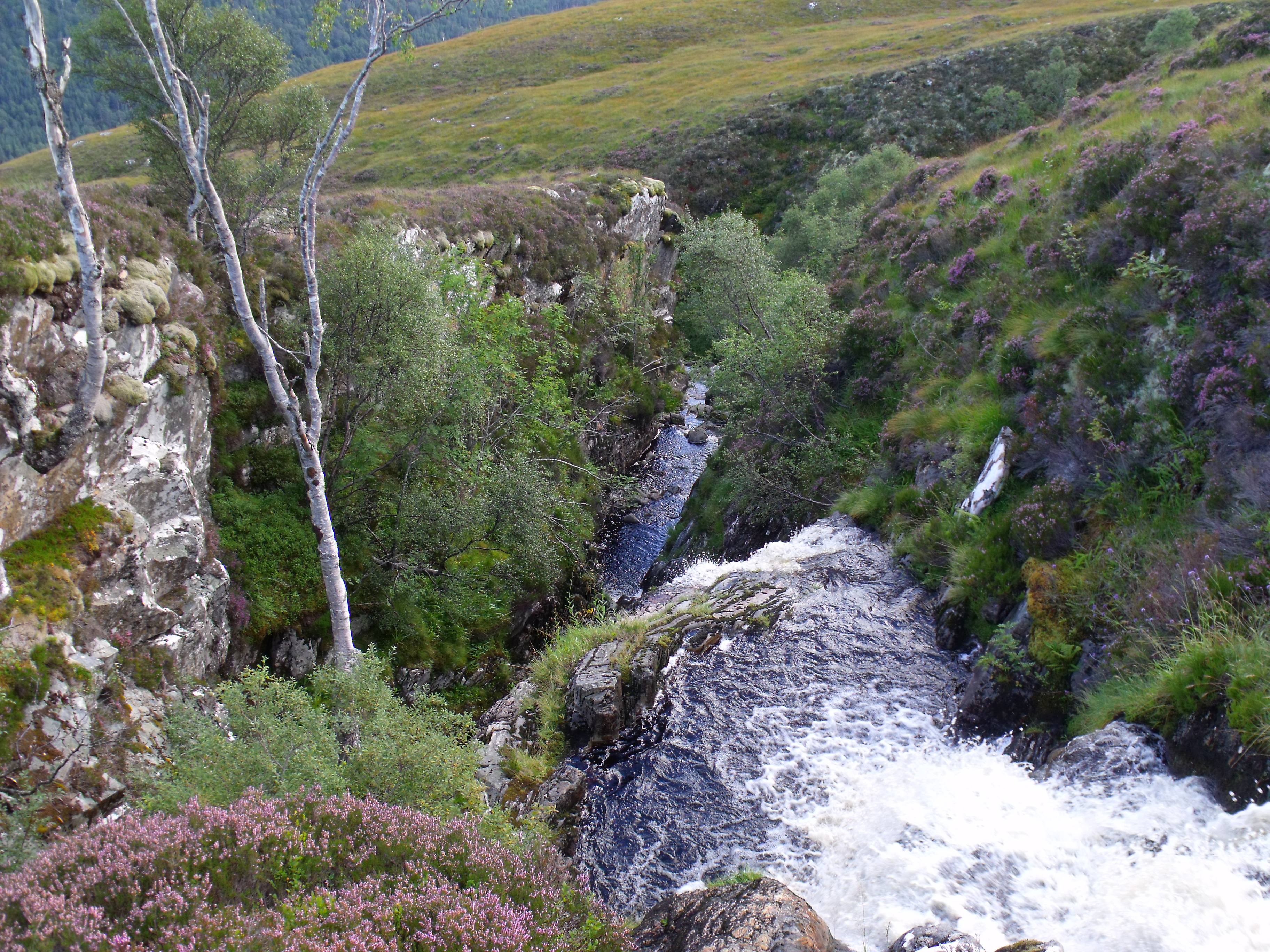 A gorgeous part of An Cam-allt above Glen Affric - geograph.org.uk - 3123502