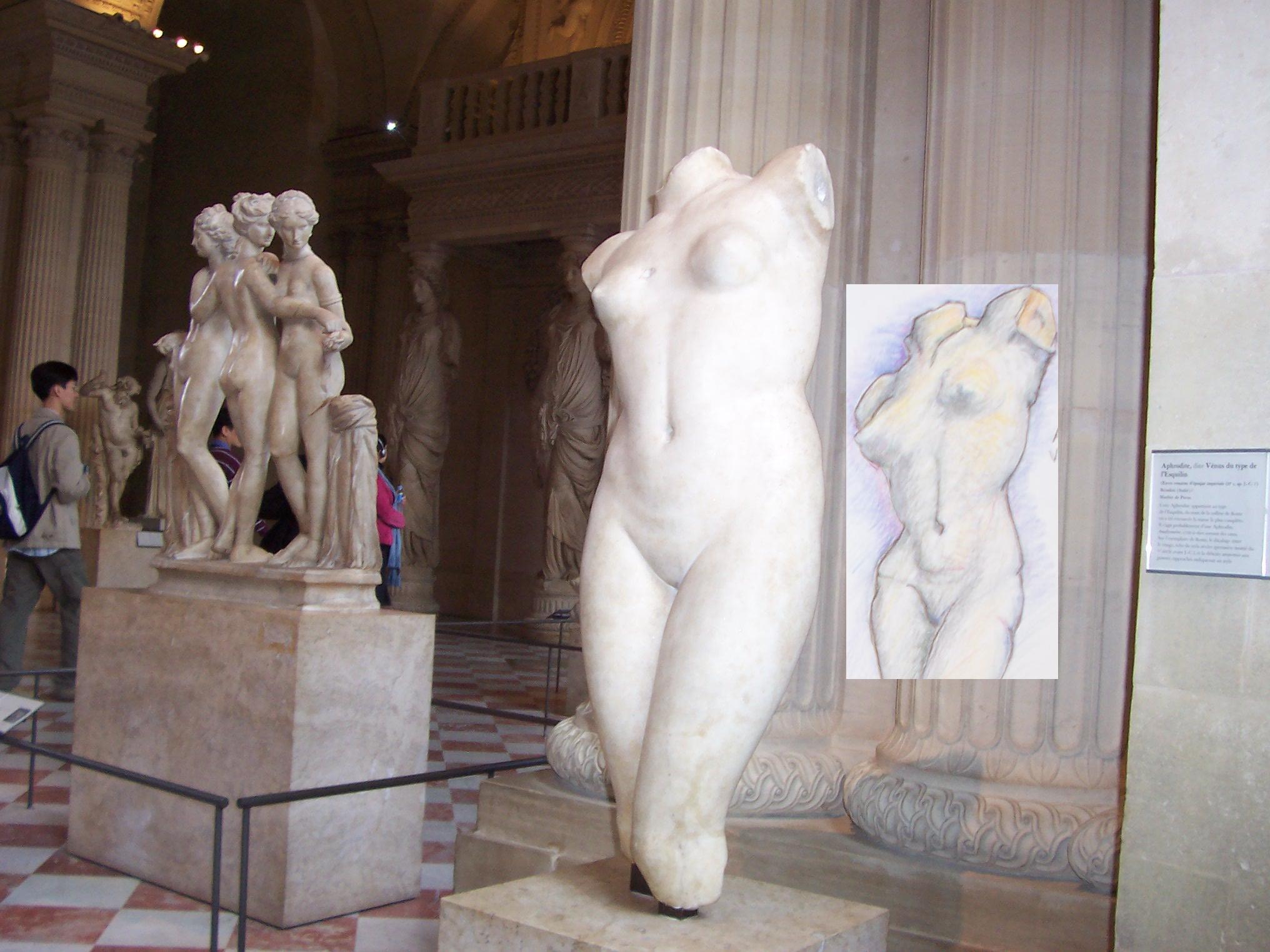 File:Aphrodite Kallipygos-Hermitage cut.jpg - Wikimedia Commons