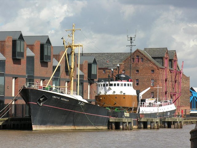 File:Arctic corsair.jpg