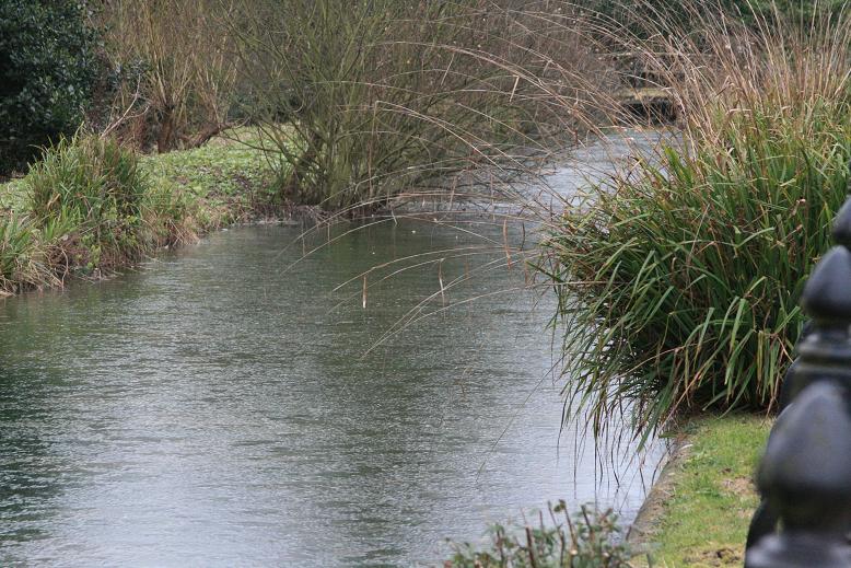 File:Botanic Frozen - geograph.org.uk - 1705999.jpg