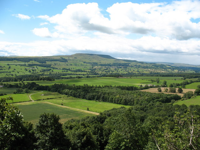 File:Brick Garth Plantation - geograph.org.uk - 891220.jpg