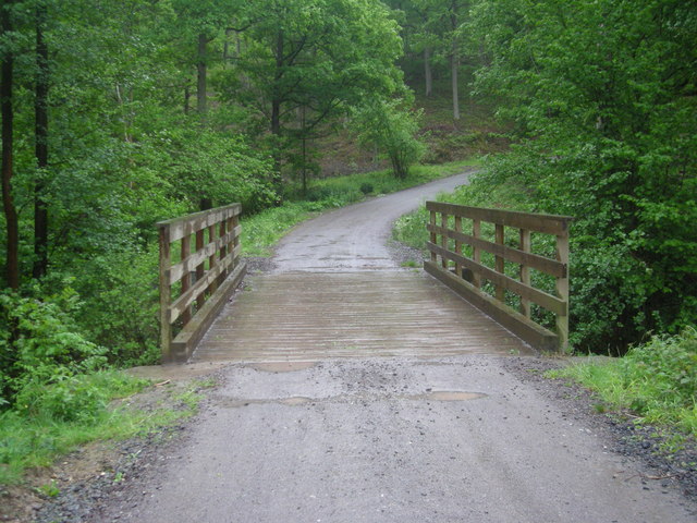 File:Bridge in the forest - geograph.org.uk - 816698.jpg