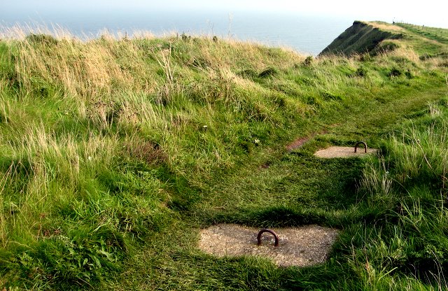 Cliff top, Flamborough Head. - geograph.org.uk - 247753