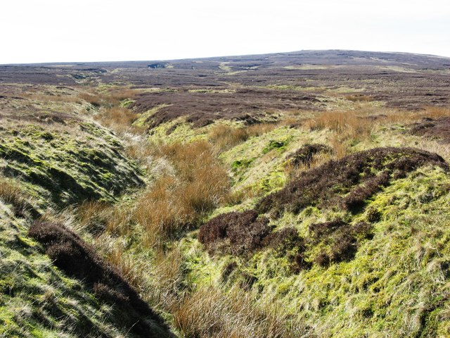 File:Doctor's Hush - geograph.org.uk - 389796.jpg