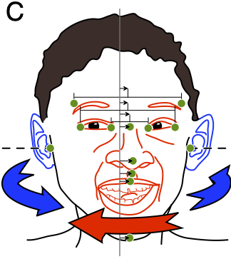 File:MY FACE.png - Wikipedia