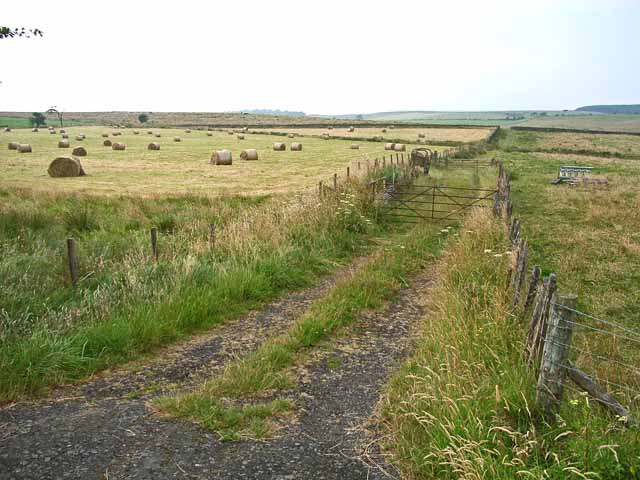 File:Fields near Hadrian's Wall - geograph.org.uk - 207971.jpg