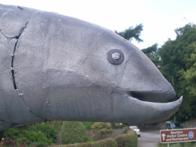 File:Fochabers Fish - closeup of head - geograph.org.uk - 950546.jpg