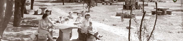 A picnic area shown in a 1939 view of Lilac Park along MN 100 LilacPark2.jpg