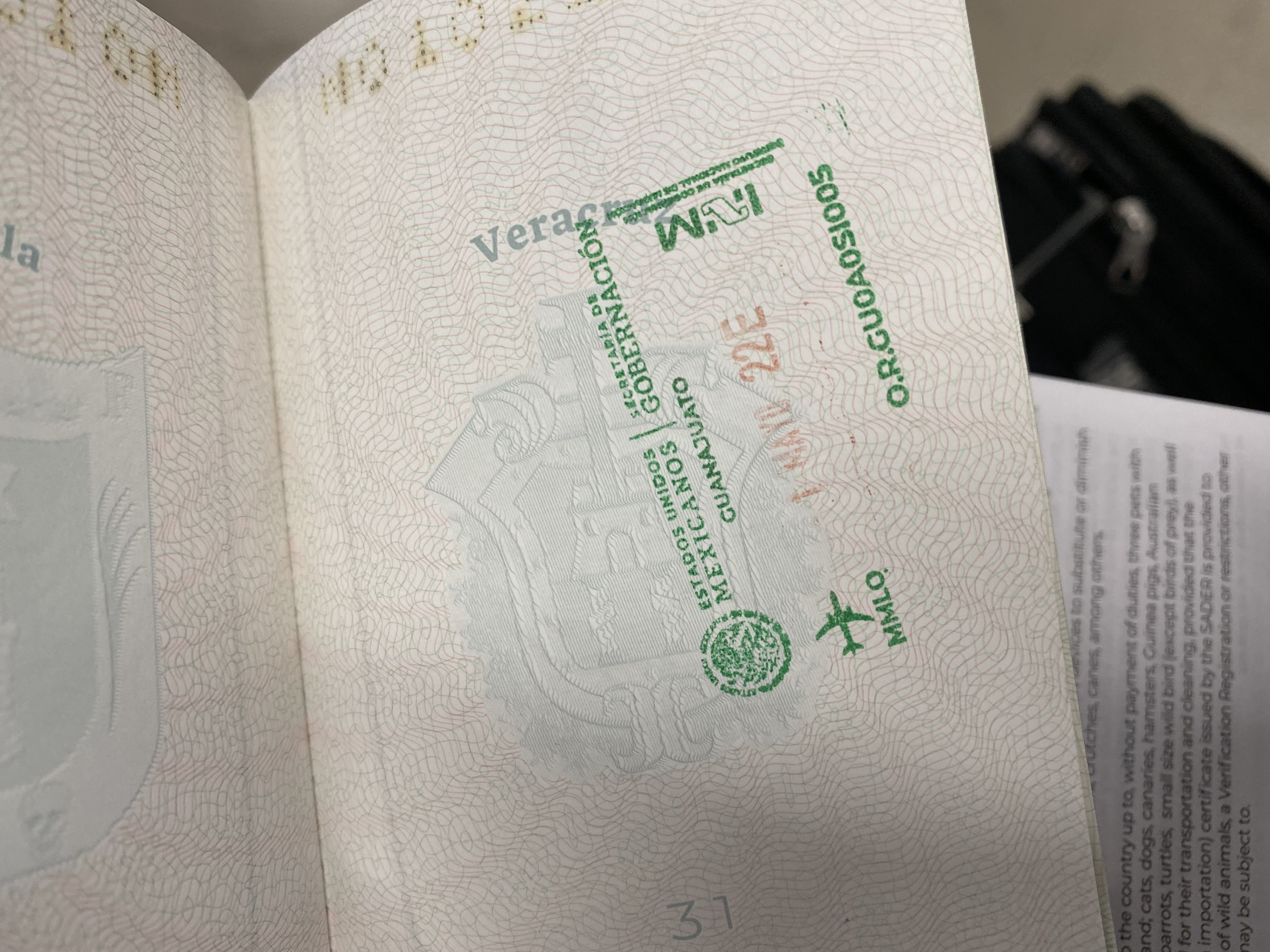 Mexico Entry Stamp Guanajuato BJX