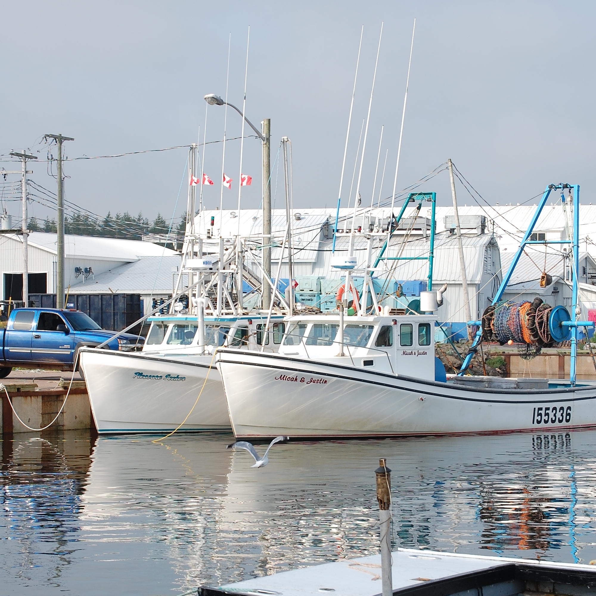 Fishing Gear for sale in Murray Harbour, Prince Edward Island