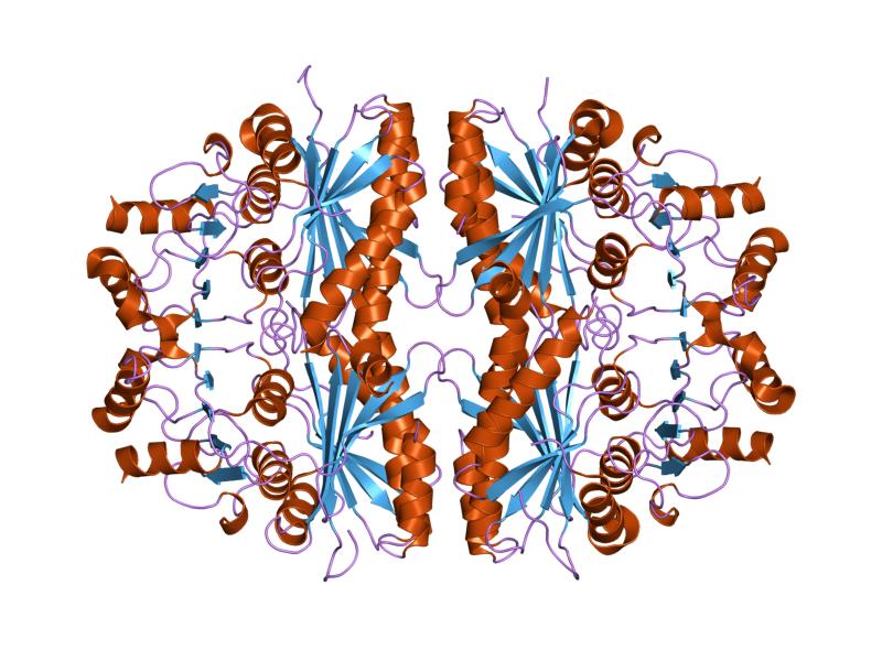 File:PDB 1dbz EBI.jpg