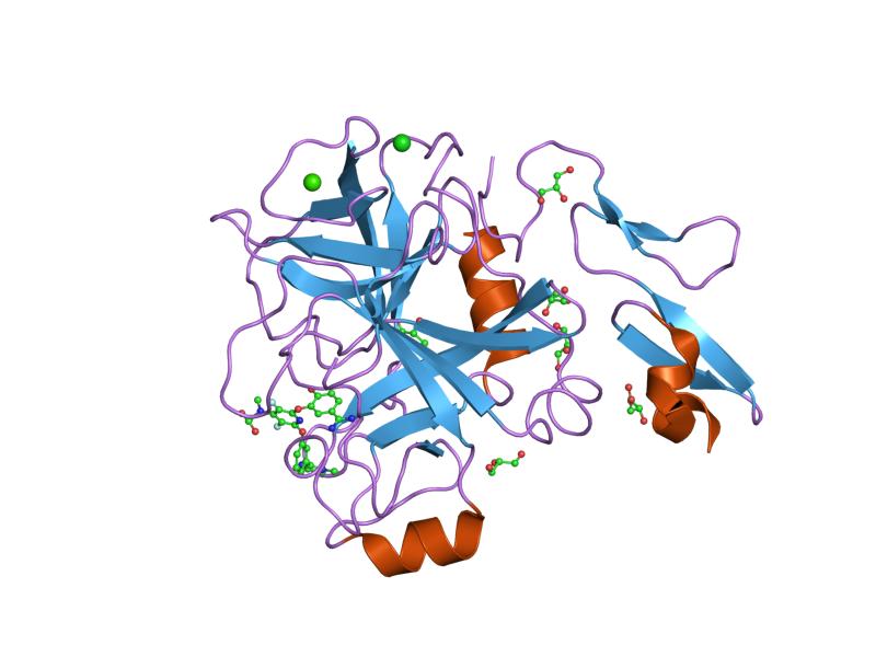 File:PDB 1fjs EBI.jpg