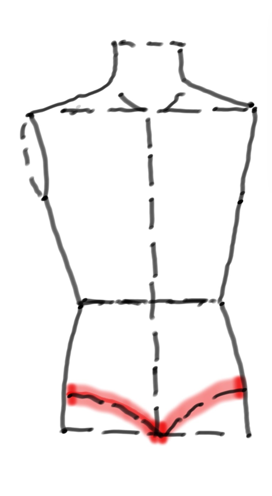 https://upload.wikimedia.org/wikipedia/commons/f/f9/Panty_line_on_a_croquis_of_a_torso.jpg