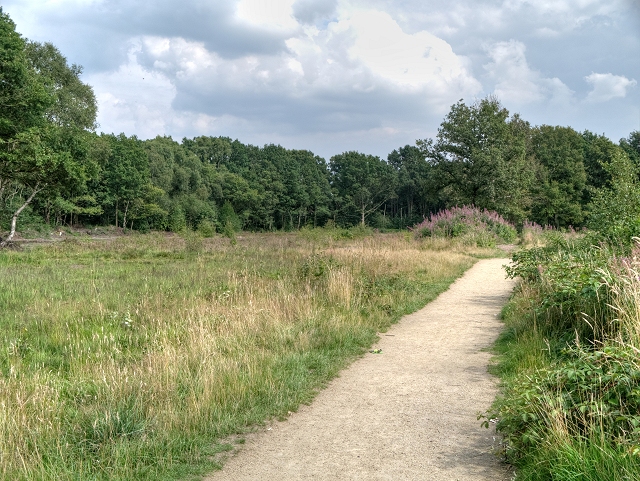 Path Across Lindow common - geograph.org.uk - 3597007