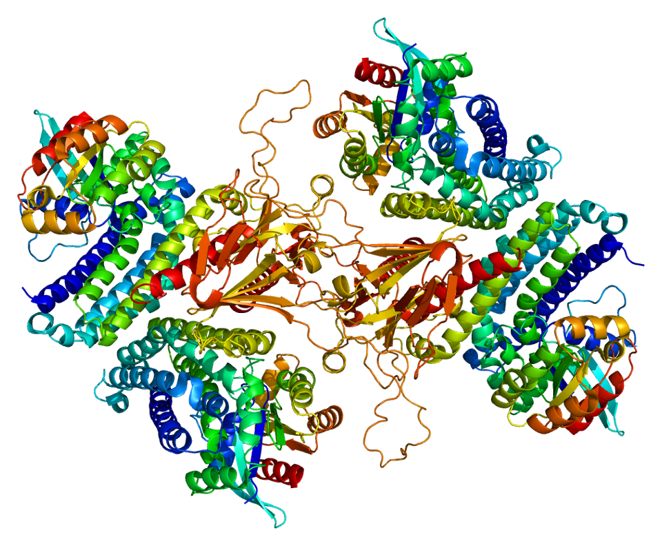 Белок том 1. Rho белок. Cell Protein. Белки семейства rho. Клетка для белки.
