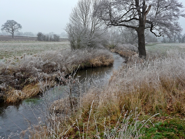 File:River Blythe near Barston - geograph.org.uk - 1107848.jpg