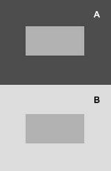 Figure 2: Illustration of simultaneous contrast Simultaneous contrast.png